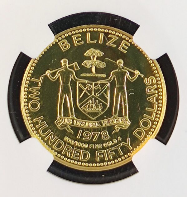 250 Dollars Belize Jaguar MS69 - Image 3