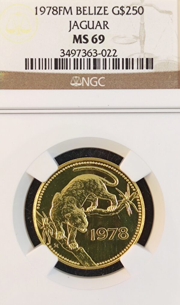 250 Dollars Belize Jaguar MS69 - Image 2