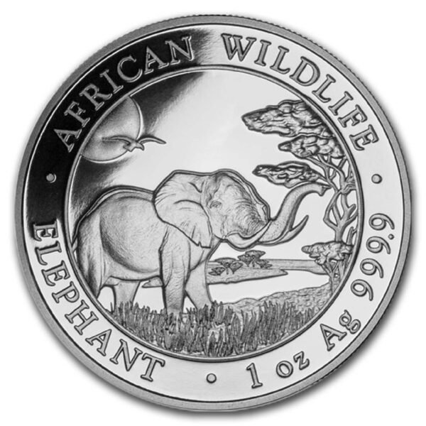 100 Shillings Somalia Elephant 1 oz Silver